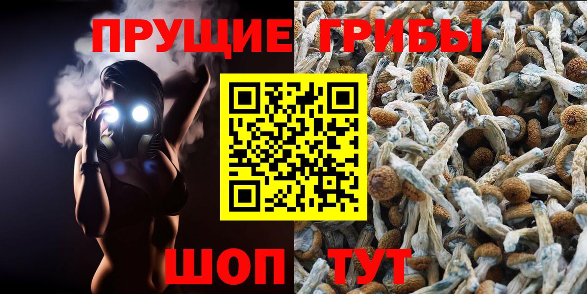 Сальск  Псилоцибиновые грибы мухоморы  Псилоцибиновые грибы GOLDEN TEACHER  Вход с VPN 